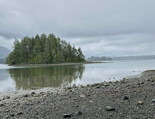Canada’s Nature Strategy Requires Indigenous Leadership